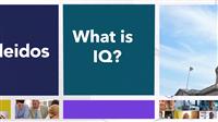 Introduction to IQ