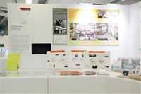 Cincopa Gallery