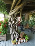 Cincopa Gallery